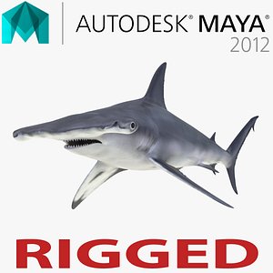 great hammerhead shark rigged 3d model