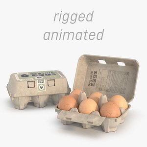 3D 6 eggs in rigged carton package