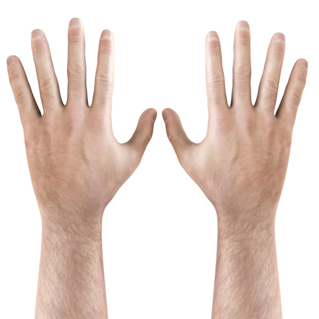 3d Model Realistic Male Hand