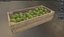 Sugar Apple Wooden Crate