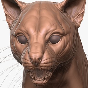 Fully Detailed Ocelot Cat Zbrush Sculpt 3D