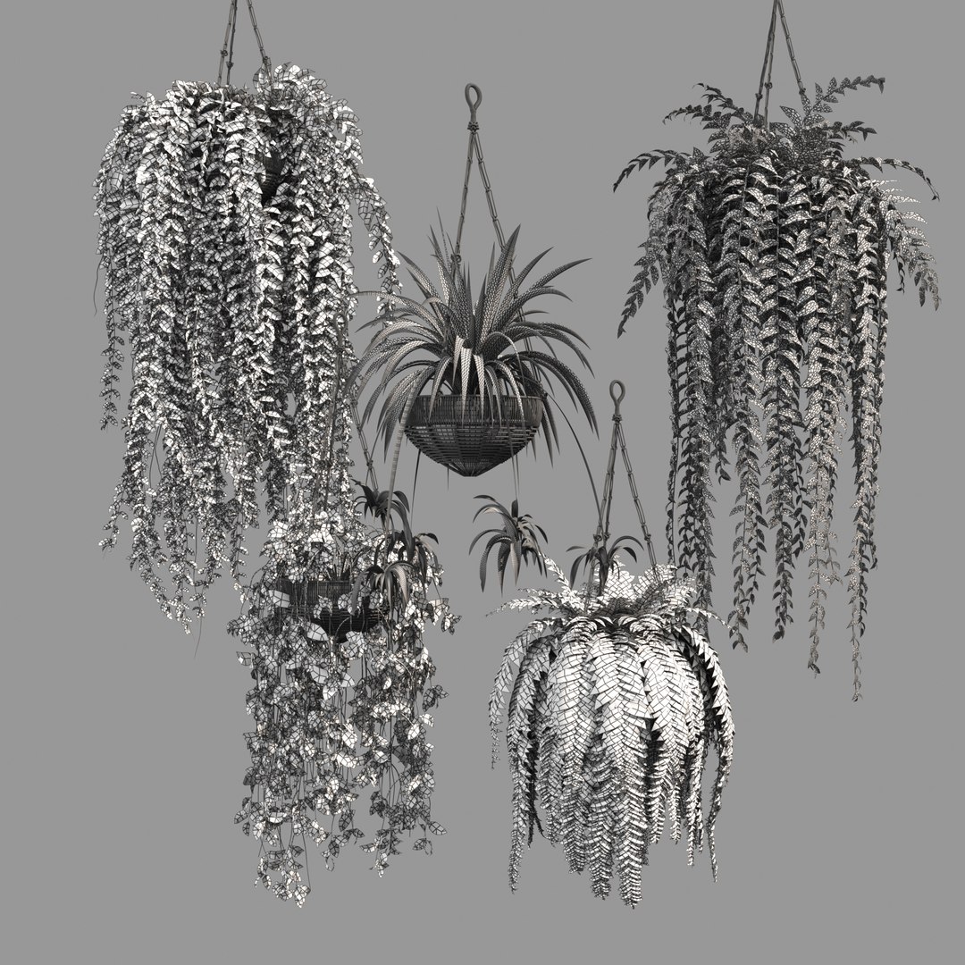 3D Indoor Hanging Plants 1 model https://p.turbosquid.com/ts-thumb/HD/1UTuAB/82/hangplturn0008/jpg/1647116405/1920x1080/fit_q87/2fefcf79c3058857e243a1a56a6ae149a726dd26/hangplturn0008.jpg
