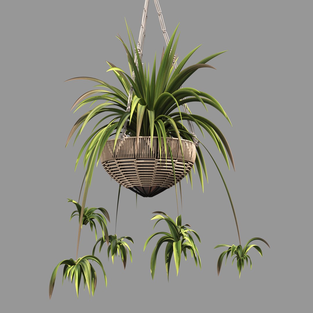 3D Indoor Hanging Plants 1 model https://p.turbosquid.com/ts-thumb/HD/1UTuAB/W2/5/jpg/1647115507/1920x1080/fit_q87/6124535c1eaf0a3d0aa8a05bef5367d9e33d0512/5.jpg