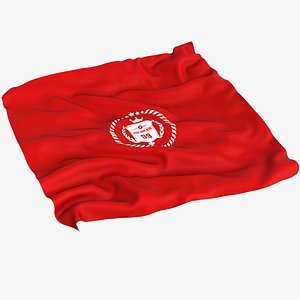 Sheet with Folds