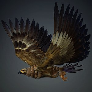 Eagle-B1 3D model