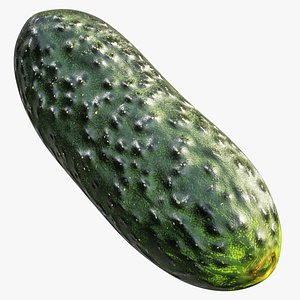 3D Cucumber Lowpoly PBR model