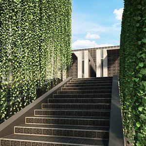 thunbergia grandiflora 3D model