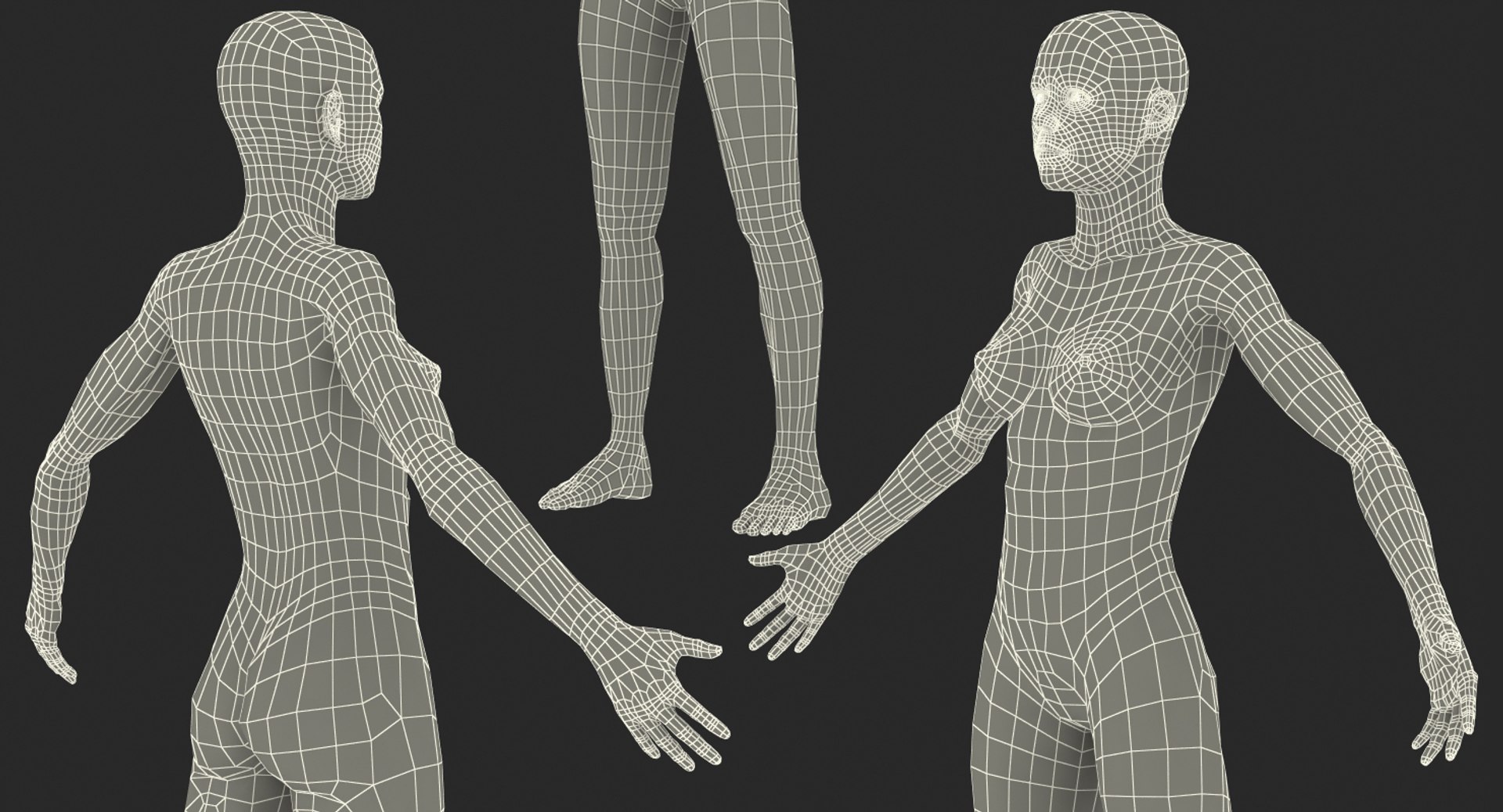 3D model female muscular anatomy rigged https://p.turbosquid.com/ts-thumb/HD/VpfNMq/MJQRHS4A/femalemuscularsystemanatomyriggedmb3dmodel030/jpg/1517946699/1920x1080/fit_q87/a4dc43135978f546cc0ad5f4fc0e391ce9446bb4/femalemuscularsystemanatomyriggedmb3dmodel030.jpg