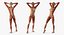 Female Muscular System Anatomy Rigged per Cinema 4D