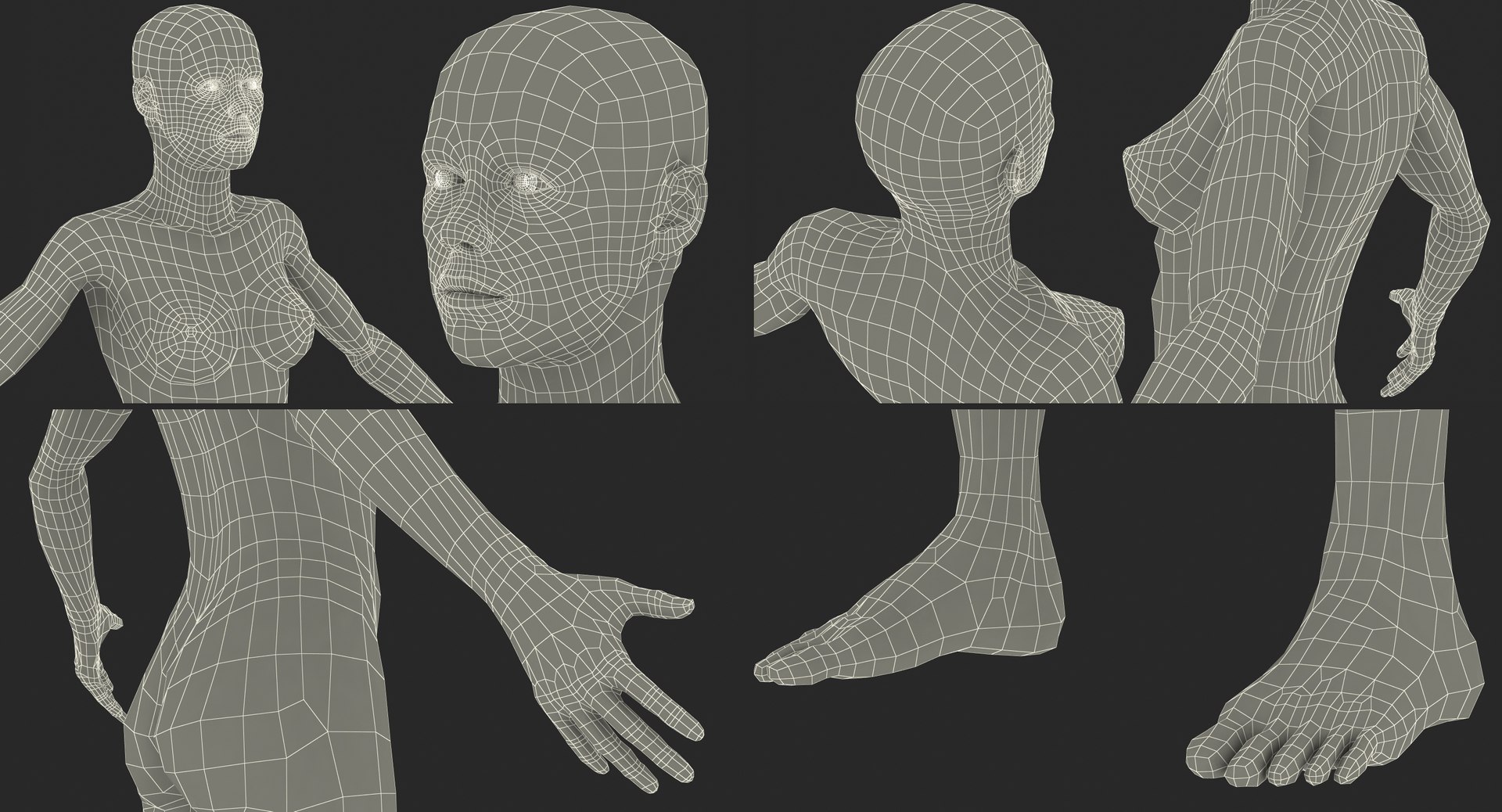 3D model female muscular anatomy rigged https://p.turbosquid.com/ts-thumb/HD/VpfNMq/eUUJDPyZ/femalemuscularsystemanatomyriggedmb3dmodel031/jpg/1517946699/1920x1080/fit_q87/91f26bc8852aaa921fcd930ece9d312516c820e0/femalemuscularsystemanatomyriggedmb3dmodel031.jpg