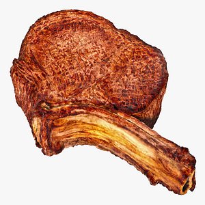 Beef Ribeye Steak Bone In 3D Model