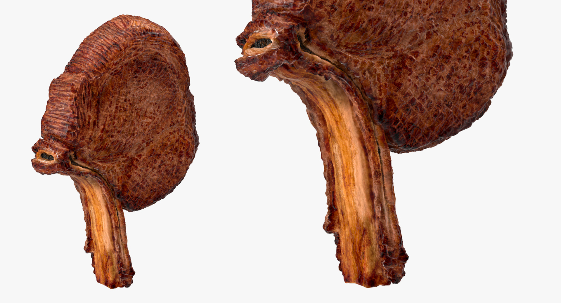 3D beef ribeye steak bone https://p.turbosquid.com/ts-thumb/HD/axt4lq/S1QMtatt/beef_ribeye_steak_bone_in_360/jpg/1558384686/1920x1080/turn_fit_q99/aadd6ce8d38ec99389fe566998892bb61c3d6dc9/beef_ribeye_steak_bone_in_360-1.jpg