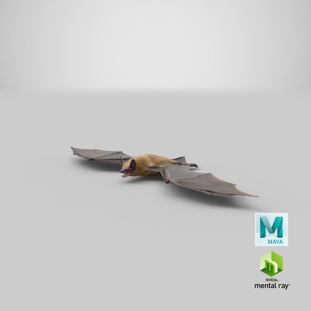 3ds Bat Realistic