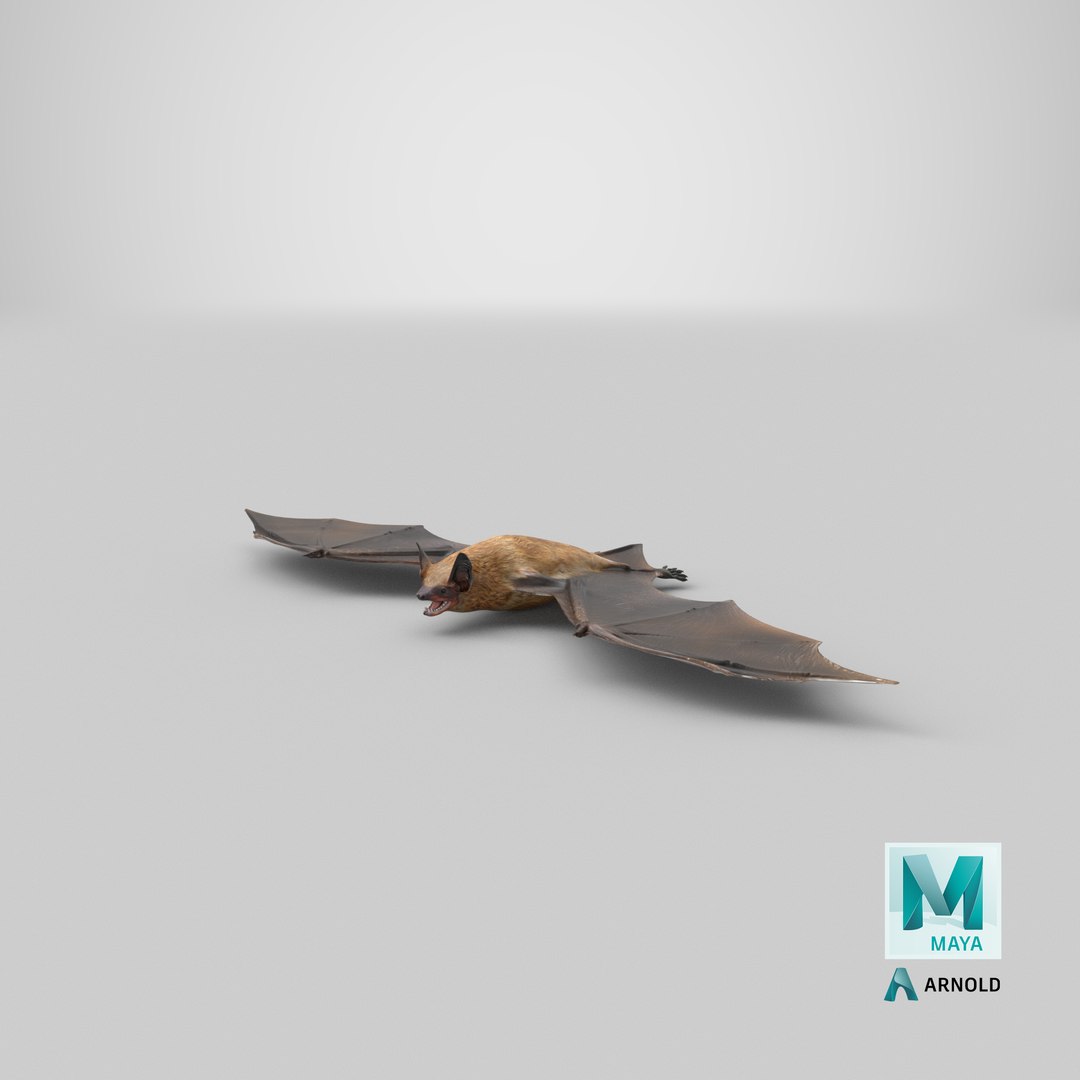 3ds Bat Realistic