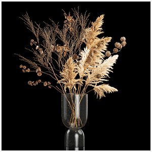 Bouquet of dried flowers with thorn and cardaderia branches 283 model
