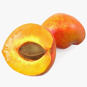 Fresh Apricot Cut 3D model