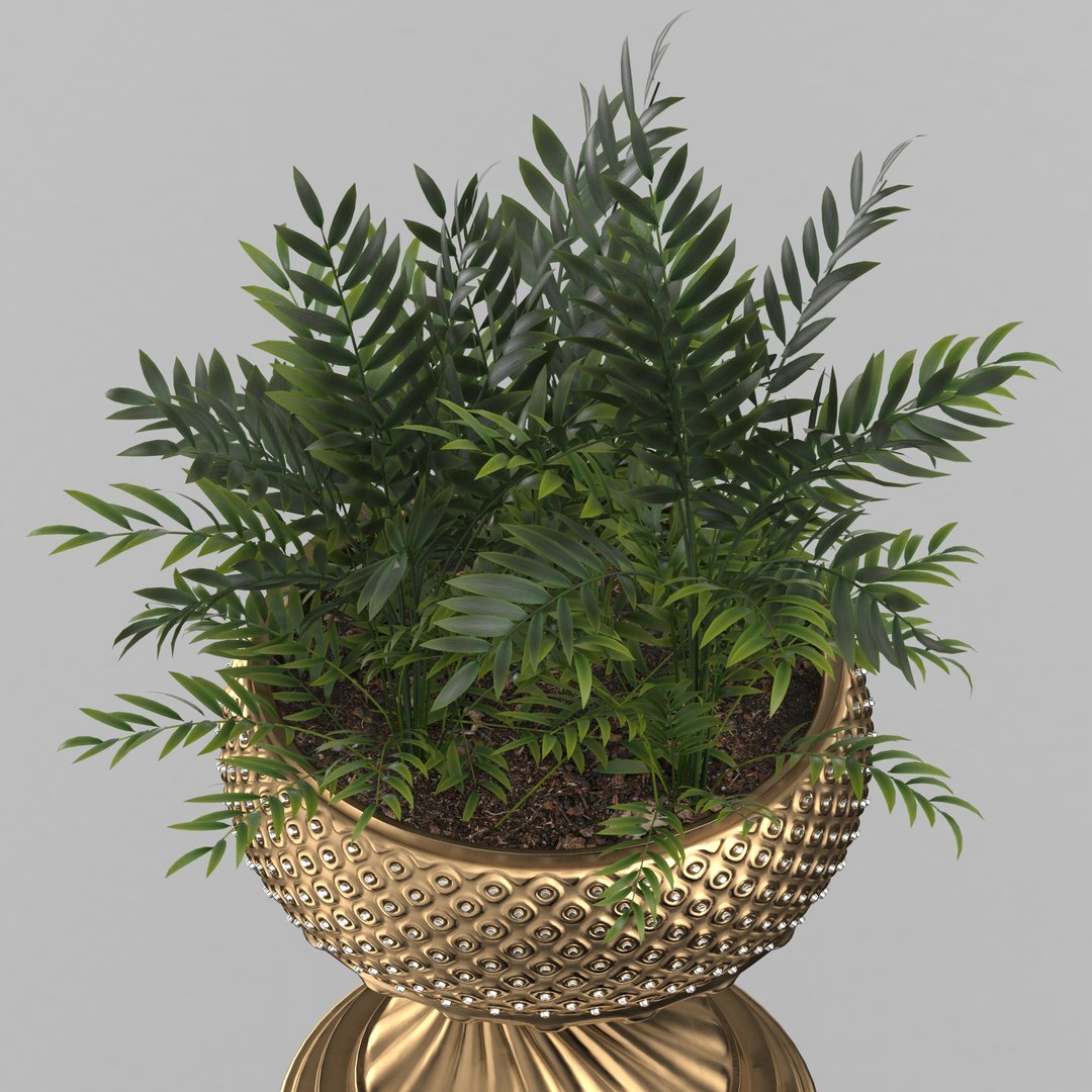 Plants in tall pot 3D Model model https://p.turbosquid.com/ts-thumb/HD/otwOGv/fa/render_12/jpg/1657787449/1920x1080/fit_q87/b2bca045136f01cf3254df0e4c69673ffc6773fb/render_12.jpg