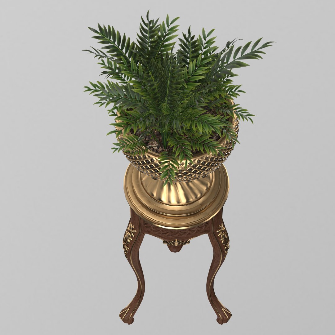 Plants in tall pot 3D Model model https://p.turbosquid.com/ts-thumb/HD/otwOGv/s6/render_14/jpg/1657788903/1920x1080/fit_q87/1ed81931abda020e0fa47b8daacbacdc93efb557/render_14.jpg