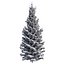 Spruce