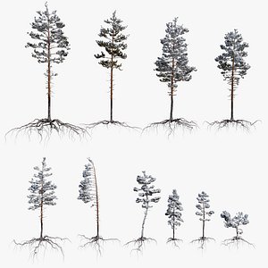 Winter Pine Tree Pack vol.01