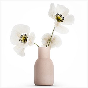Beautiful Bouquet Of White Wild Flowers Poppy 467 3D