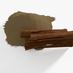 3D cinnamon spice food