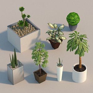 interior flowers 3D model