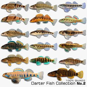 darter fish x