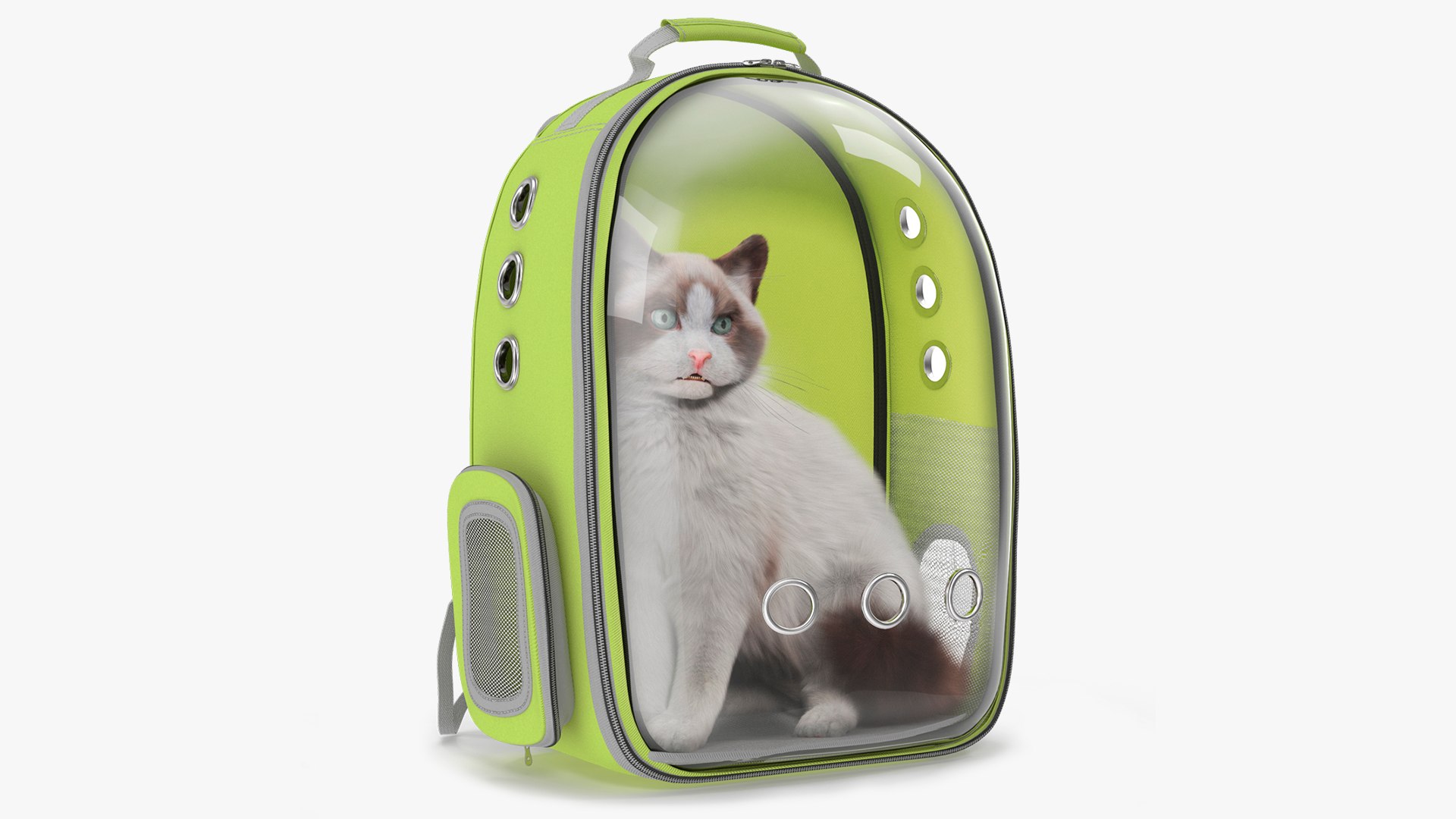 Longhaired Cat in Hard Shell Travel Backpack Fur for Maya 3D model preview