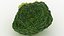 Broccoli Florets 02