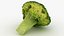 Broccoli Florets 02