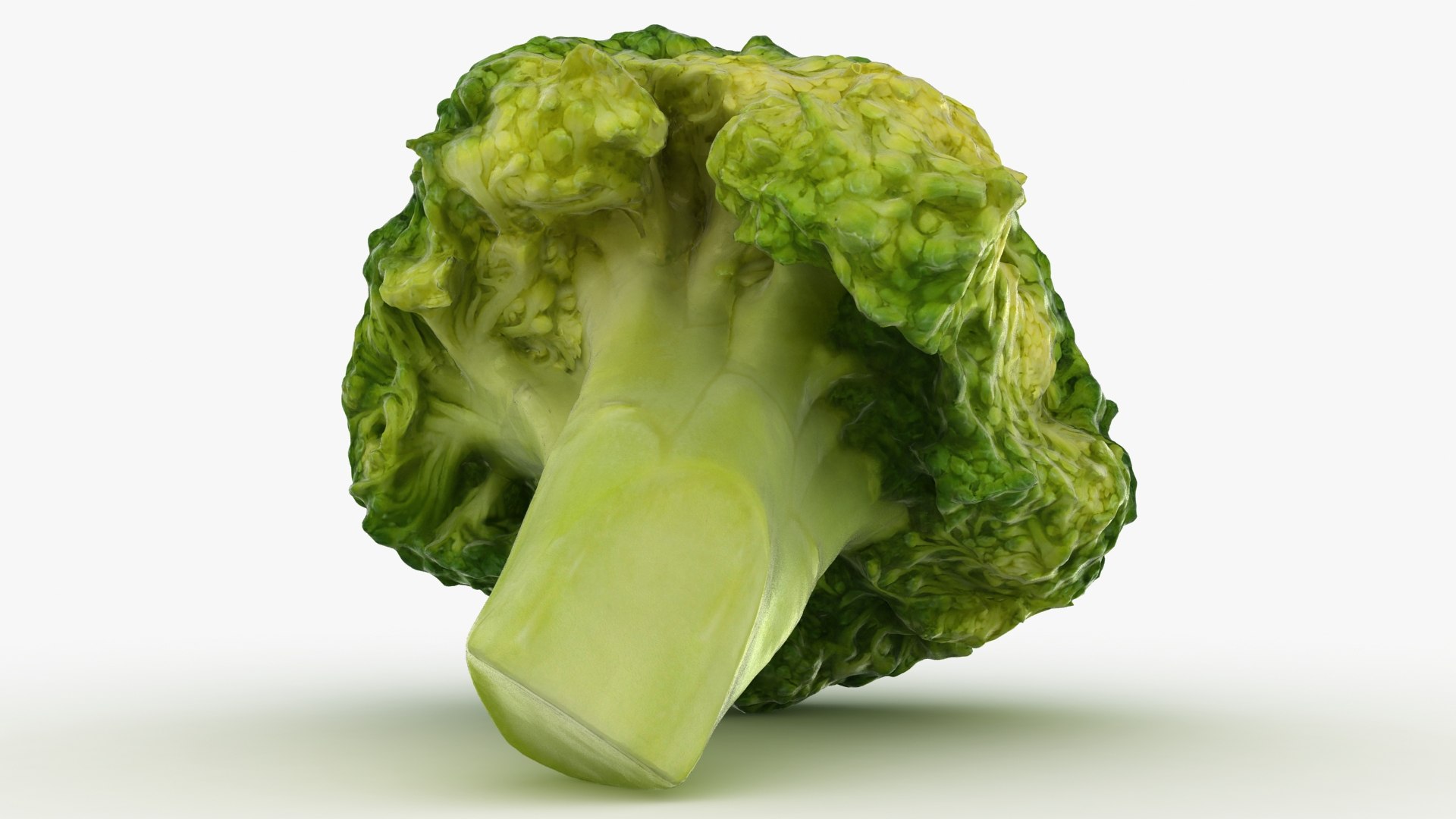 3D broccoli florets https://p.turbosquid.com/ts-thumb/HE/D1YvMT/k0/lemon_rr_04/jpg/1611884611/1920x1080/fit_q87/51a5d1a8d4f5221d4f8df18f83d7af8794f2c6f3/lemon_rr_04.jpg