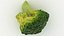 Broccoli Florets 02