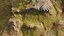 Nordic Mountain - Modello 3D PBR