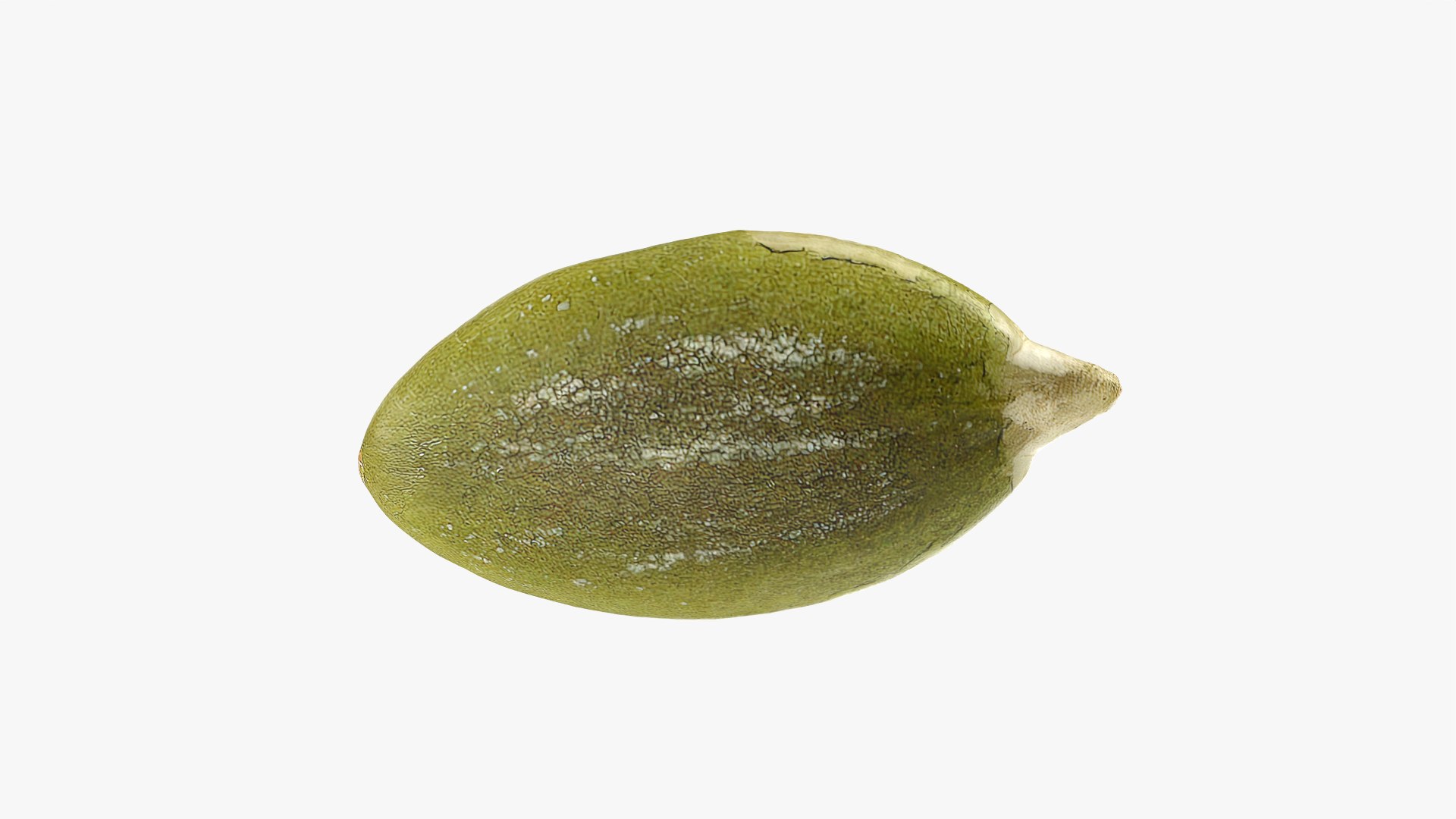 Peeled Pumpkin Seed 01 - 3D Scanned 3D model https://p.turbosquid.com/ts-thumb/HE/K6R1av/6e/pumpkinseedpeeled01_0007/png/1774976068/1920x1080/fit_q87/189a9bda8aea8ef804316833076c27fa6cb0f285/pumpkinseedpeeled01_0007.jpg