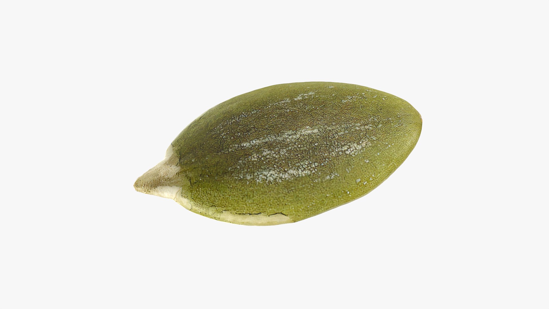 Peeled Pumpkin Seed Collection 3D model https://p.turbosquid.com/ts-thumb/HE/K6R1av/7n/pumpkinseedpeeled01_0001/png/1788587383/1920x1080/fit_q87/28893b2c2ceb5b9f799b35418f9bb6a50d803136/pumpkinseedpeeled01_0001.jpg