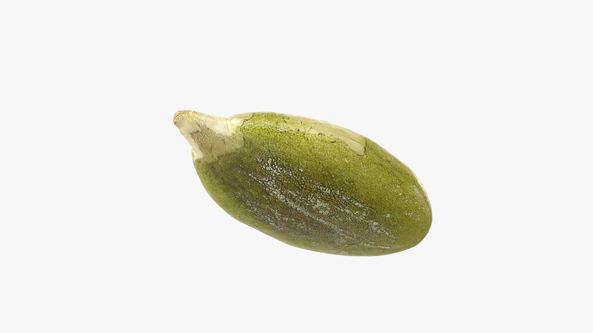 Peeled Pumpkin Seed 01 - 3D Scanned 3D model https://p.turbosquid.com/ts-thumb/HE/K6R1av/K0/pumpkinseedpeeled01_0010/png/1774976069/1920x1080/fit_q87/0cb0316c9c1ca661bf89da0b6ffcb59fed4e85e7/pumpkinseedpeeled01_0010.jpg