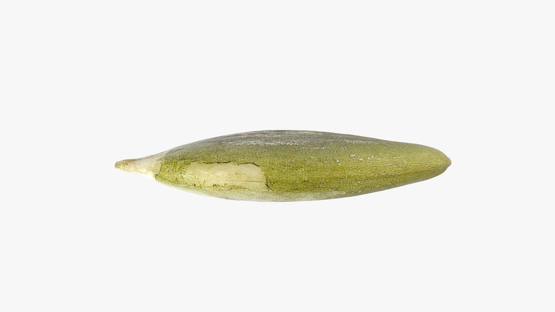 Peeled Pumpkin Seed 01 - 3D Scanned 3D model https://p.turbosquid.com/ts-thumb/HE/K6R1av/K5/pumpkinseedpeeled01_0003/png/1774976068/1920x1080/fit_q87/26bf7c30142aa5be19cb8748efe1a3c13d75d7c8/pumpkinseedpeeled01_0003.jpg