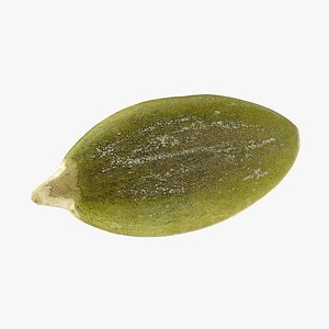 Peeled Pumpkin Seed 01 - 3D Scanned 3D model
