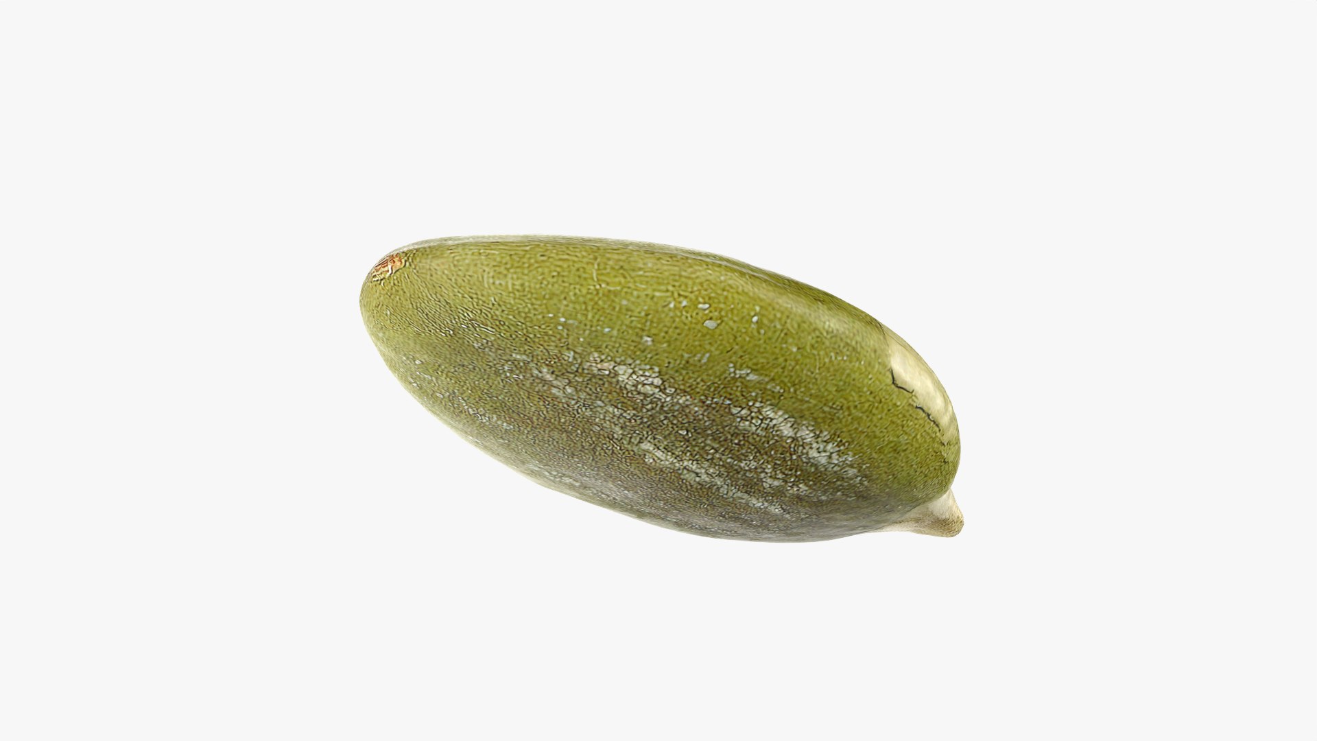 Peeled Pumpkin Seed 01 - 3D Scanned 3D model https://p.turbosquid.com/ts-thumb/HE/K6R1av/ZO/pumpkinseedpeeled01_0009/png/1774976069/1920x1080/fit_q87/d838cd0d6a81568bd87700eaf94d5b84d6abadcc/pumpkinseedpeeled01_0009.jpg