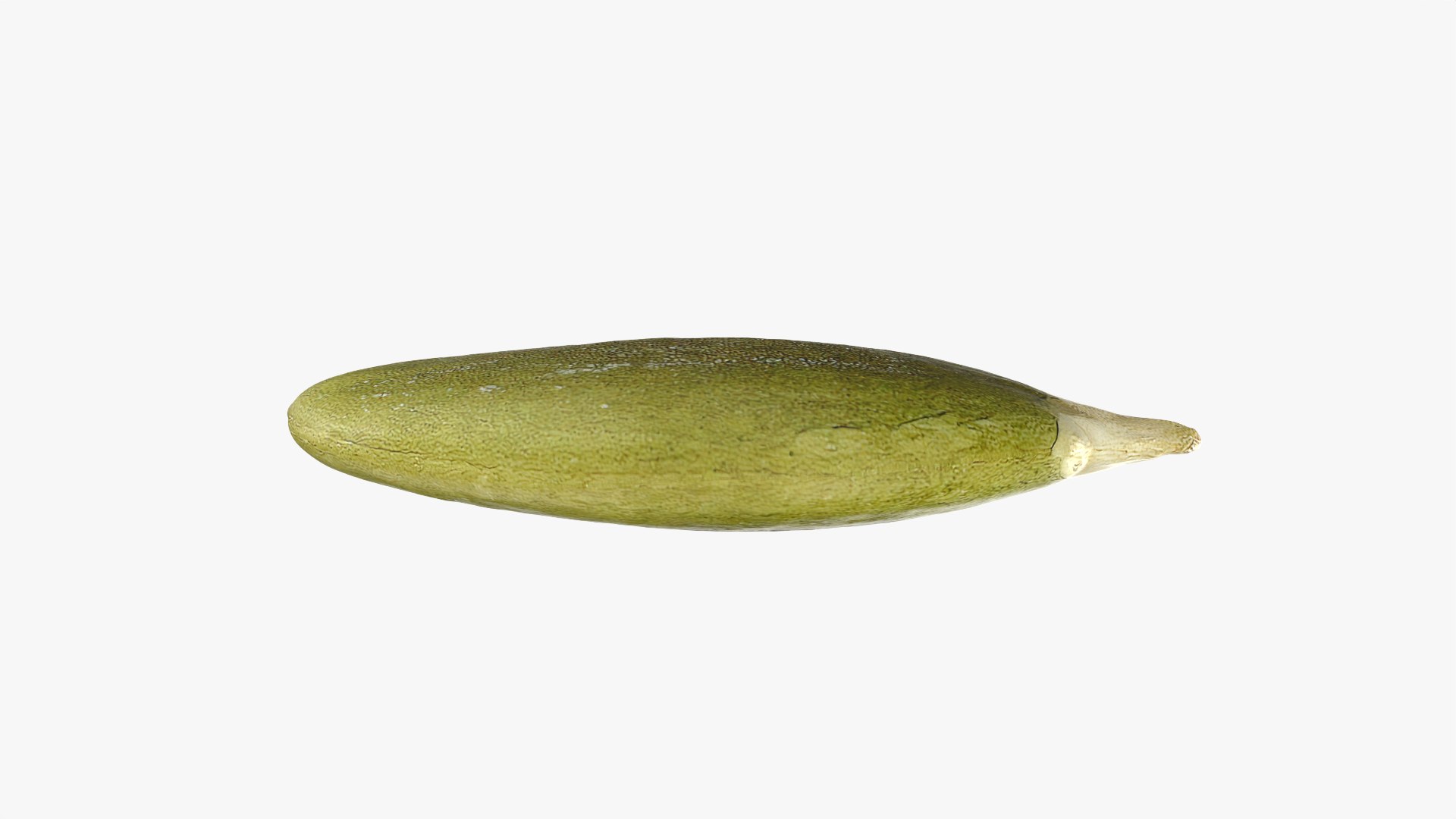 Peeled Pumpkin Seed 01 - 3D Scanned 3D model https://p.turbosquid.com/ts-thumb/HE/K6R1av/id/pumpkinseedpeeled01_0004/png/1774976068/1920x1080/fit_q87/4e220eec843eeed91ed7c992401241ddf1d82fcd/pumpkinseedpeeled01_0004.jpg