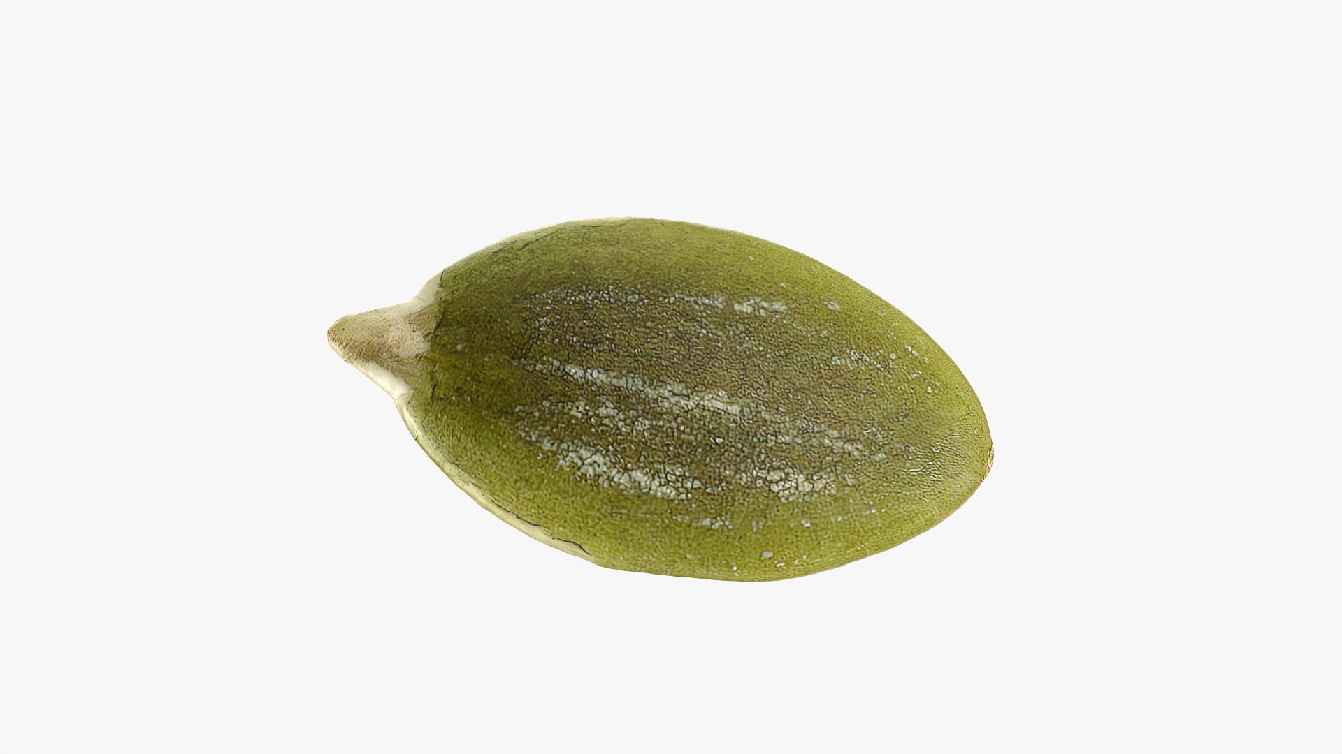 Peeled Pumpkin Seed 01 - 3D Scanned 3D model https://p.turbosquid.com/ts-thumb/HE/K6R1av/wl/pumpkinseedpeeled01_0011/png/1774976069/1920x1080/fit_q87/da908022bd506c048164536e439b817705f49d8f/pumpkinseedpeeled01_0011.jpg