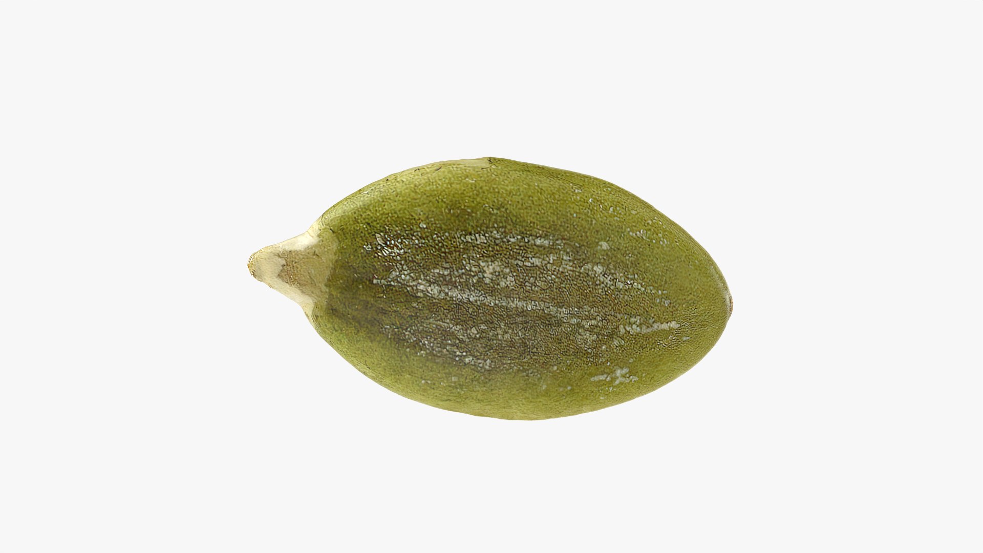 Peeled Pumpkin Seed 01 - 3D Scanned 3D model https://p.turbosquid.com/ts-thumb/HE/K6R1av/y6/pumpkinseedpeeled01_0012/png/1774976069/1920x1080/fit_q87/c5e847cec8622d2756f647aa01f8de8cb8eb3019/pumpkinseedpeeled01_0012.jpg