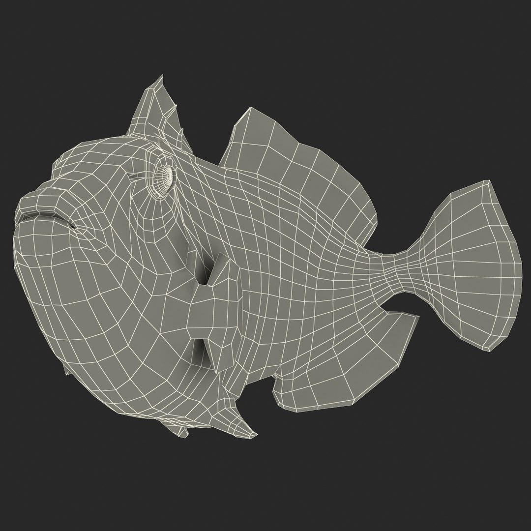 clown trigger fish rigged 3d ma