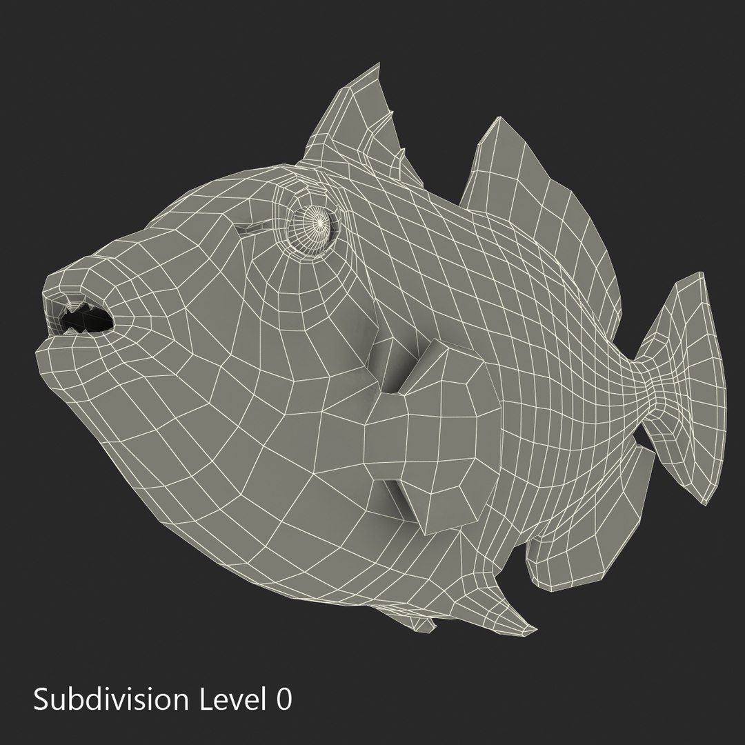 clown trigger fish rigged 3d ma