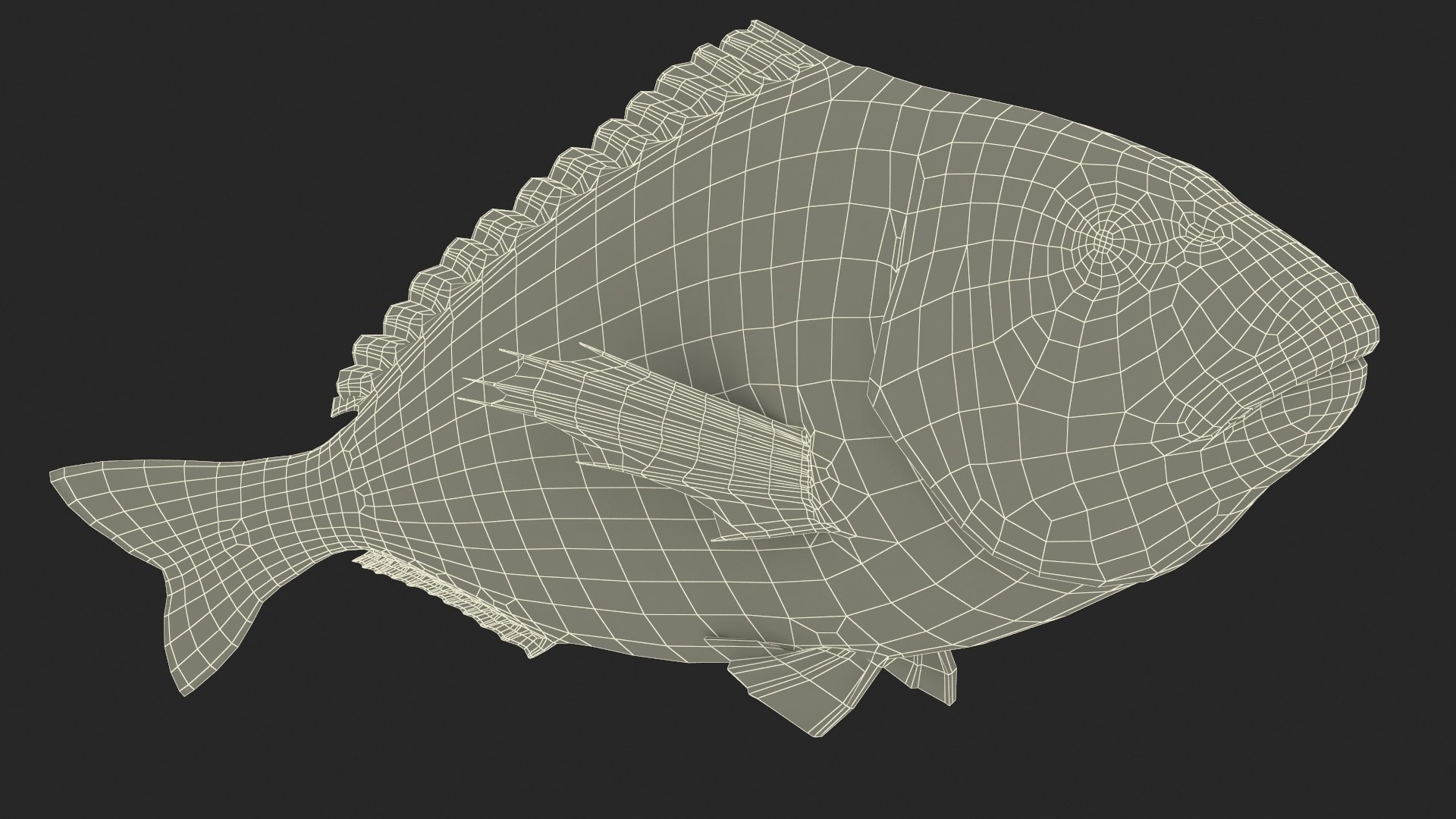 3D model Gilt-head Sea Bream Fish Swimming https://p.turbosquid.com/ts-thumb/HE/MX68vS/3x/giltheadseabreamfishswimmingc4dmodel031/jpg/1702089369/1920x1080/fit_q87/ec8b0d818fba432aea92835d567b7f920cb2658c/giltheadseabreamfishswimmingc4dmodel031.jpg