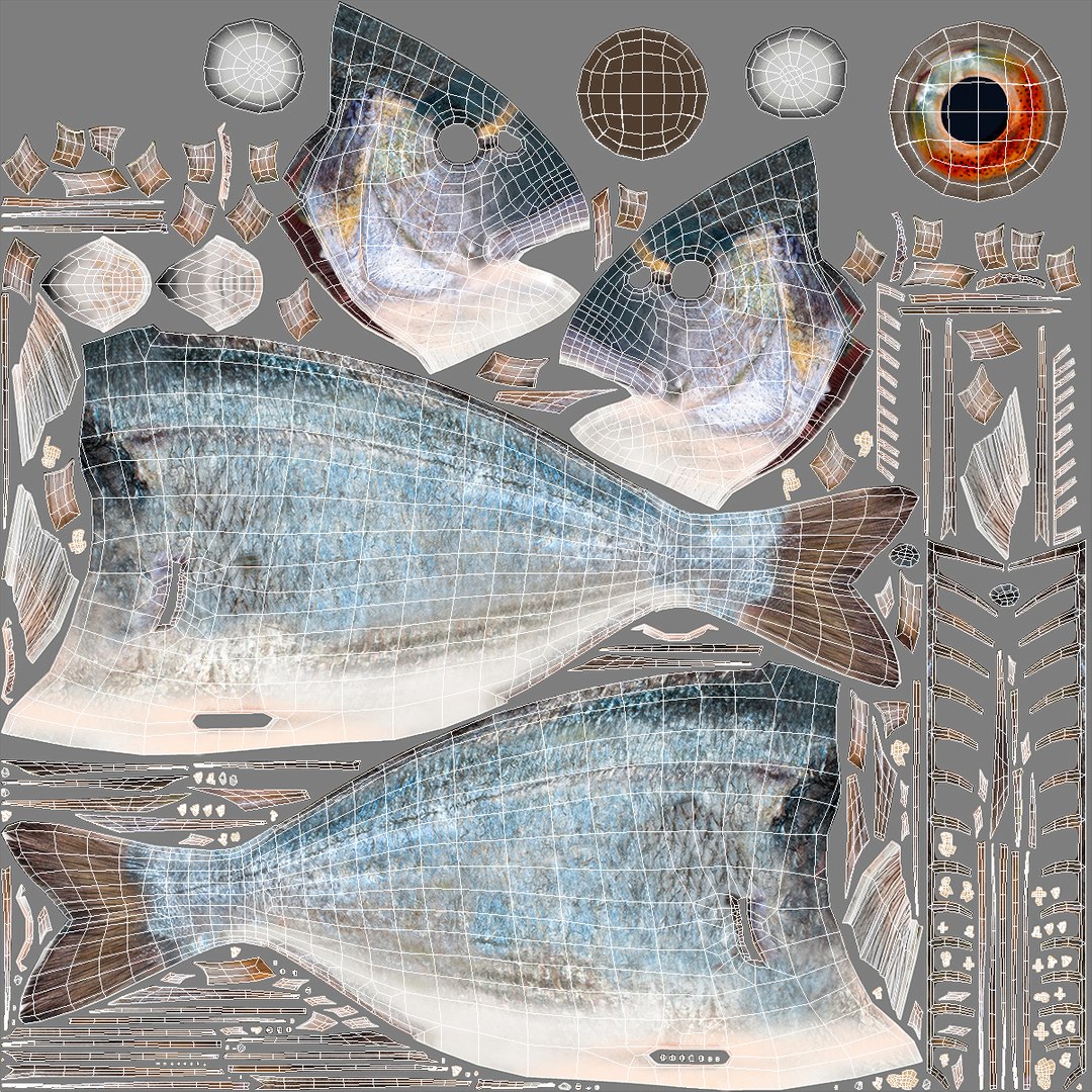 3D model Gilt-head Sea Bream Fish Swimming https://p.turbosquid.com/ts-thumb/HE/MX68vS/Pe/giltheadseabreamfishswimmingc4dmodel021/jpg/1702089251/1920x1080/fit_q87/8b3a25d563dbc921473fabe4824159598938a0b9/giltheadseabreamfishswimmingc4dmodel021.jpg