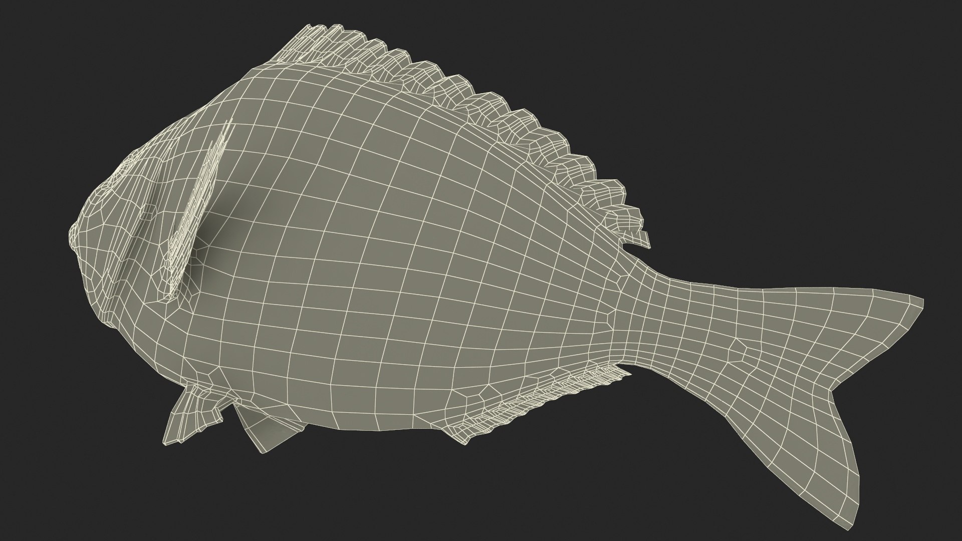 3D model Gilt-head Sea Bream Fish Swimming https://p.turbosquid.com/ts-thumb/HE/MX68vS/XP/giltheadseabreamfishswimmingc4dmodel030/jpg/1702089362/1920x1080/fit_q87/8db05a09dd13d8f1d445c6a99c017b9d57fed07c/giltheadseabreamfishswimmingc4dmodel030.jpg