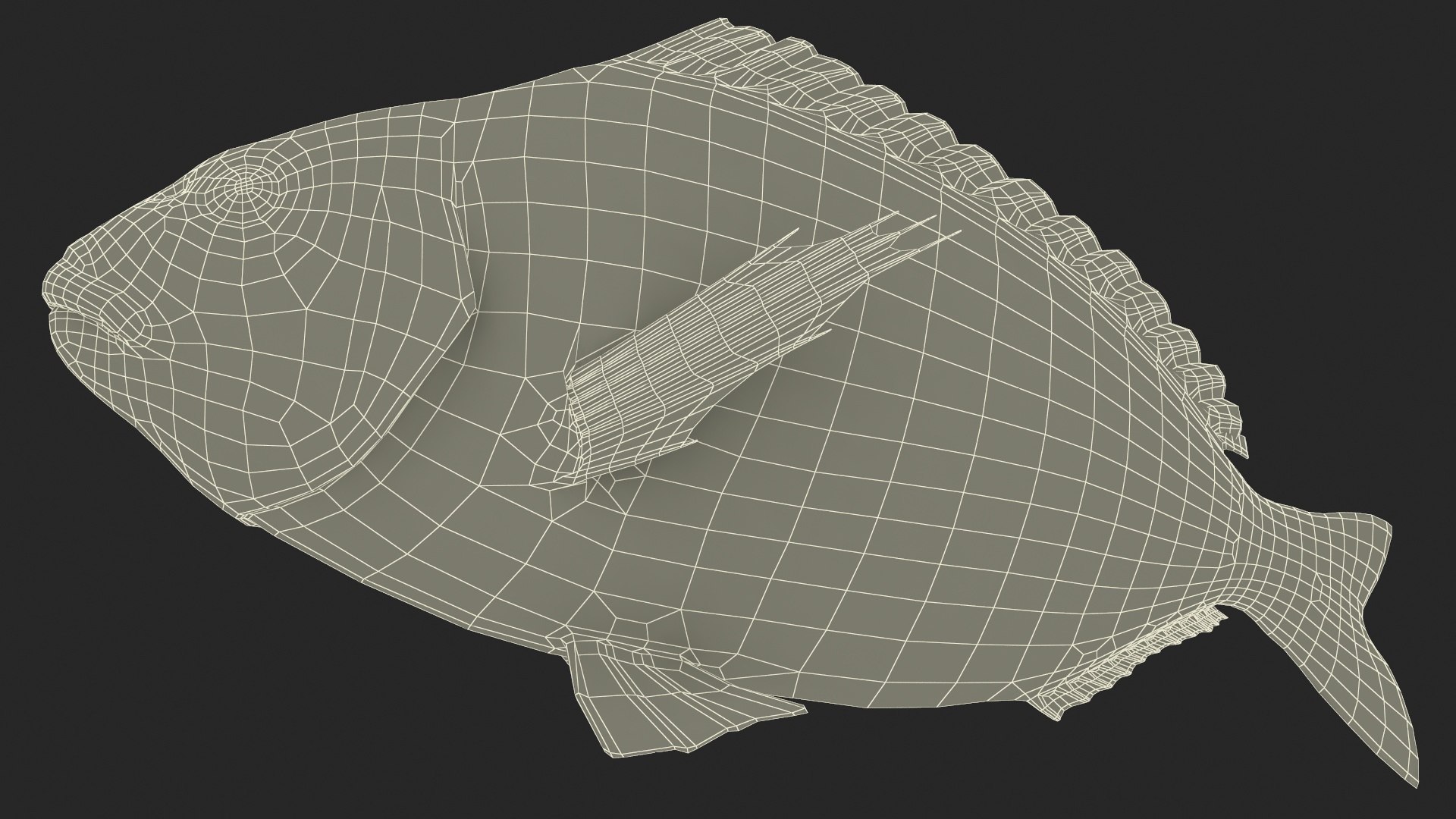 3D model Gilt-head Sea Bream Fish Swimming https://p.turbosquid.com/ts-thumb/HE/MX68vS/tQ/giltheadseabreamfishswimmingc4dmodel033/jpg/1702089379/1920x1080/fit_q87/bef12eae704b98e970545ca03fde7739c48b8edc/giltheadseabreamfishswimmingc4dmodel033.jpg