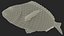 3D model Gilt-head Sea Bream Fish Swimming